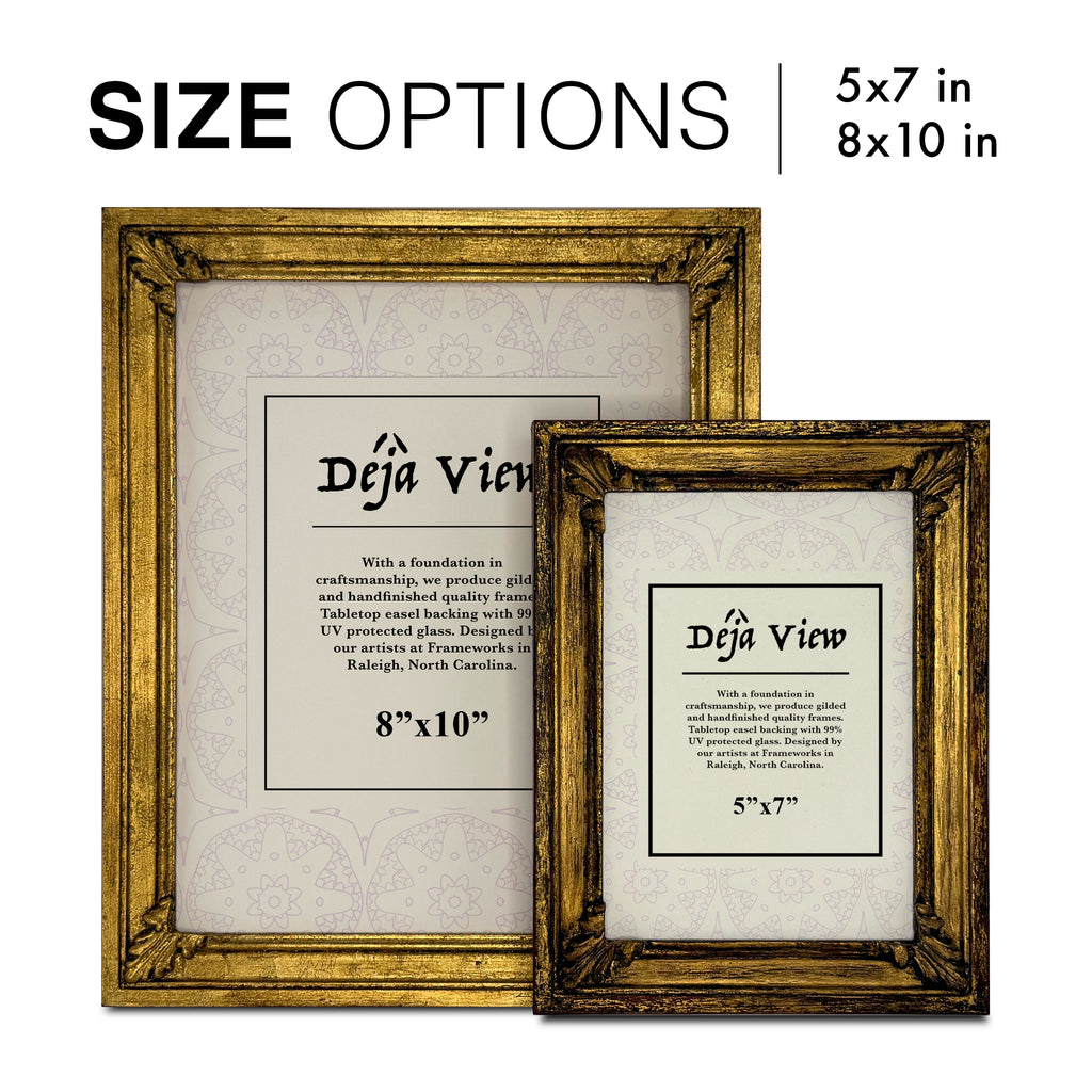 empress frame size comparison